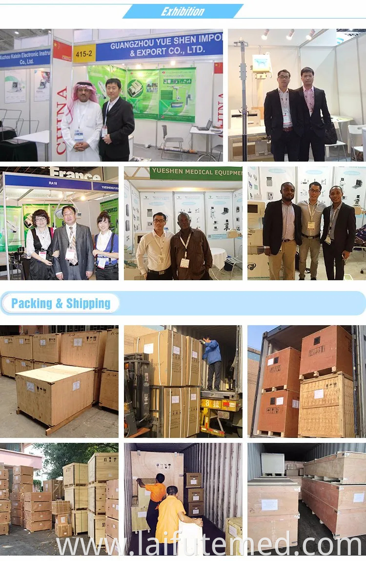 Ysvet601b Medical Vet Pet Animal Stainless Steel Dog Veterinary Oxygen Cage